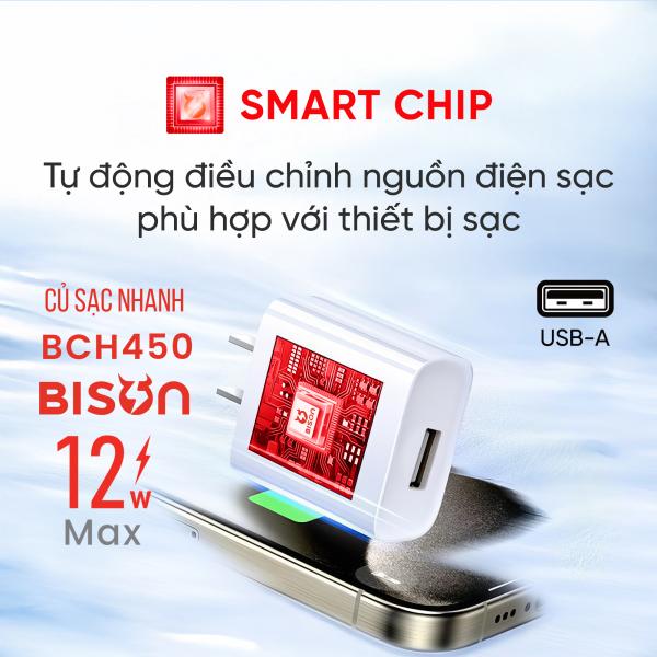 Củ sạc Bison 12w