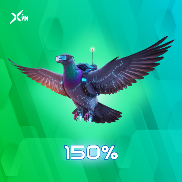 XSeagull